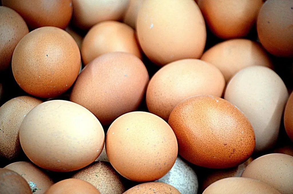 一天能吃几个鸡蛋？营养与健康的亲密关系！